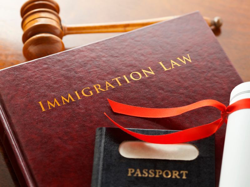 Immigration Law