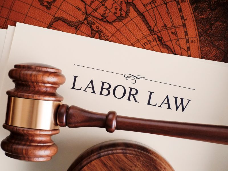 Employment and Labour Services